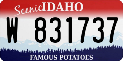 ID license plate W831737