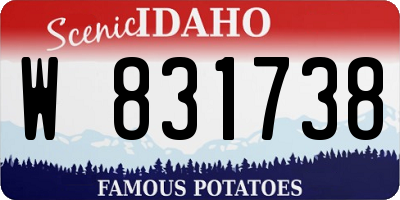 ID license plate W831738