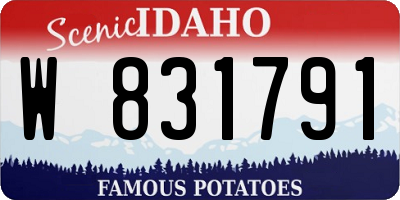 ID license plate W831791
