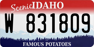 ID license plate W831809