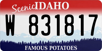 ID license plate W831817