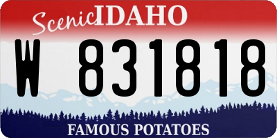 ID license plate W831818