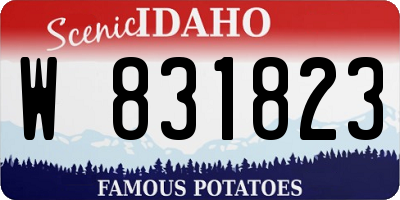 ID license plate W831823