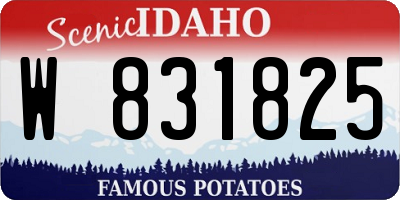 ID license plate W831825