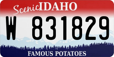 ID license plate W831829