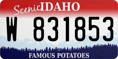 ID license plate W831853