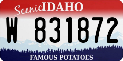 ID license plate W831872