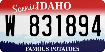 ID license plate W831894