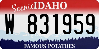 ID license plate W831959
