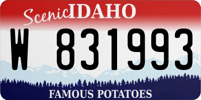 ID license plate W831993