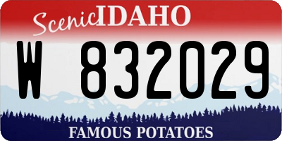 ID license plate W832029