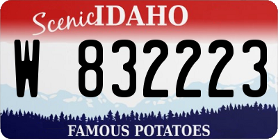 ID license plate W832223