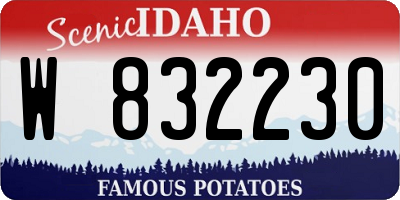 ID license plate W832230