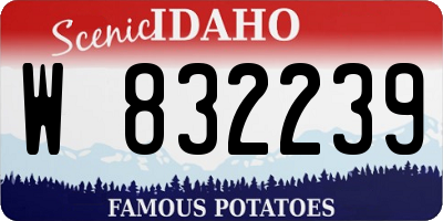 ID license plate W832239