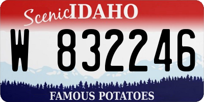 ID license plate W832246