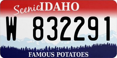 ID license plate W832291