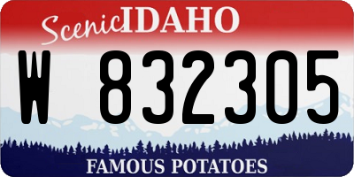 ID license plate W832305