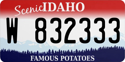 ID license plate W832333