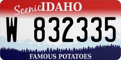 ID license plate W832335