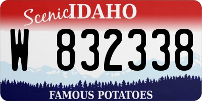 ID license plate W832338