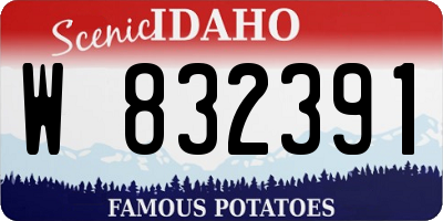 ID license plate W832391