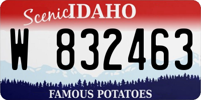 ID license plate W832463