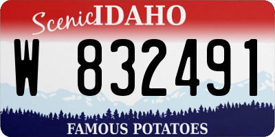 ID license plate W832491