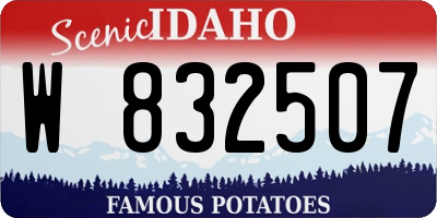 ID license plate W832507
