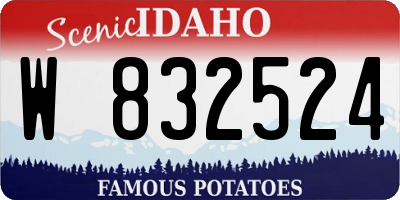 ID license plate W832524