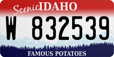 ID license plate W832539