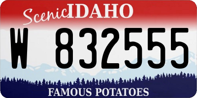 ID license plate W832555