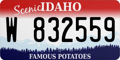 ID license plate W832559