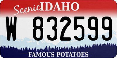 ID license plate W832599