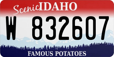 ID license plate W832607