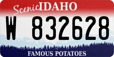 ID license plate W832628