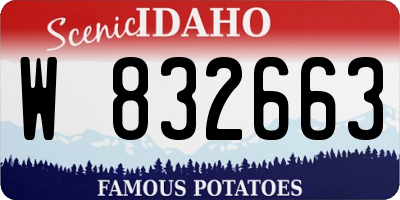 ID license plate W832663