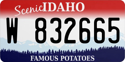 ID license plate W832665