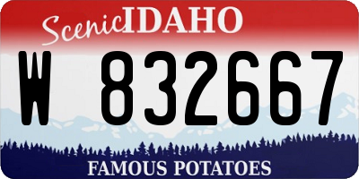 ID license plate W832667