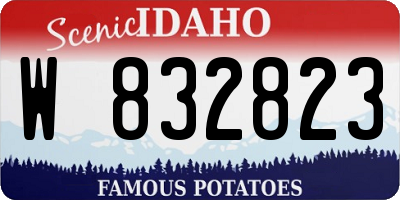 ID license plate W832823