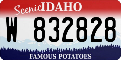 ID license plate W832828