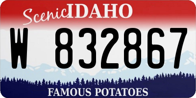 ID license plate W832867
