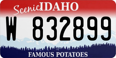 ID license plate W832899