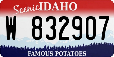 ID license plate W832907