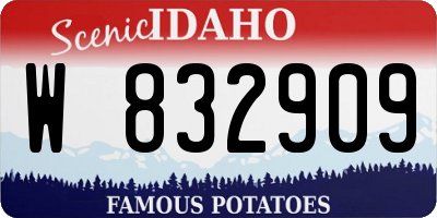 ID license plate W832909
