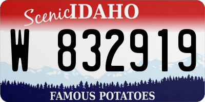 ID license plate W832919