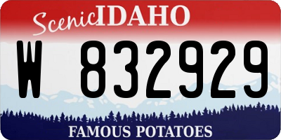 ID license plate W832929