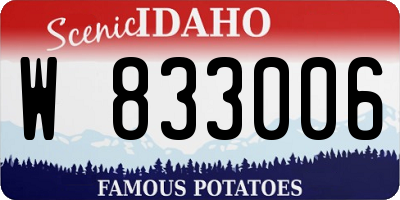ID license plate W833006
