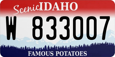 ID license plate W833007