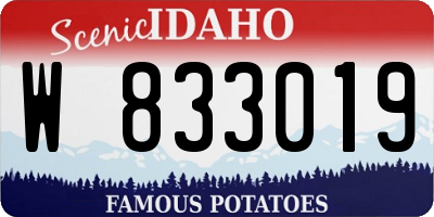 ID license plate W833019