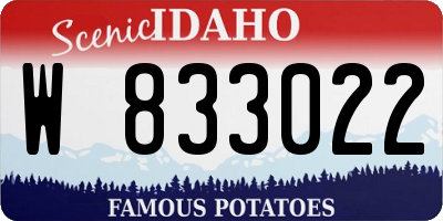 ID license plate W833022